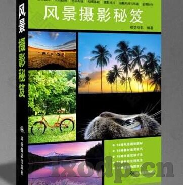 大象传媒视频正片-探索大象传媒视频正片的魅力与价值
