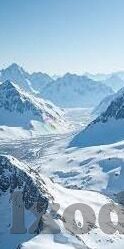 家庭教师人妻-家庭教师，人妻的双重角色与成长之旅