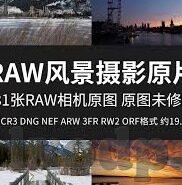 日本在线一区观看二区-探索日本在线一区与二区的独特魅力