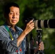 糖心app最新下载地址-如何轻松获取糖心App最新下载渠道指南