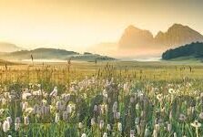 糖心短视频app下载ios-探索糖心短视频 - 打造你的苹果乐园